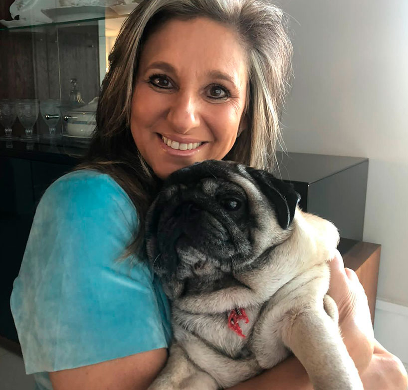 Longevidad – Perros Senior de  Razas Mini y Pequeñas