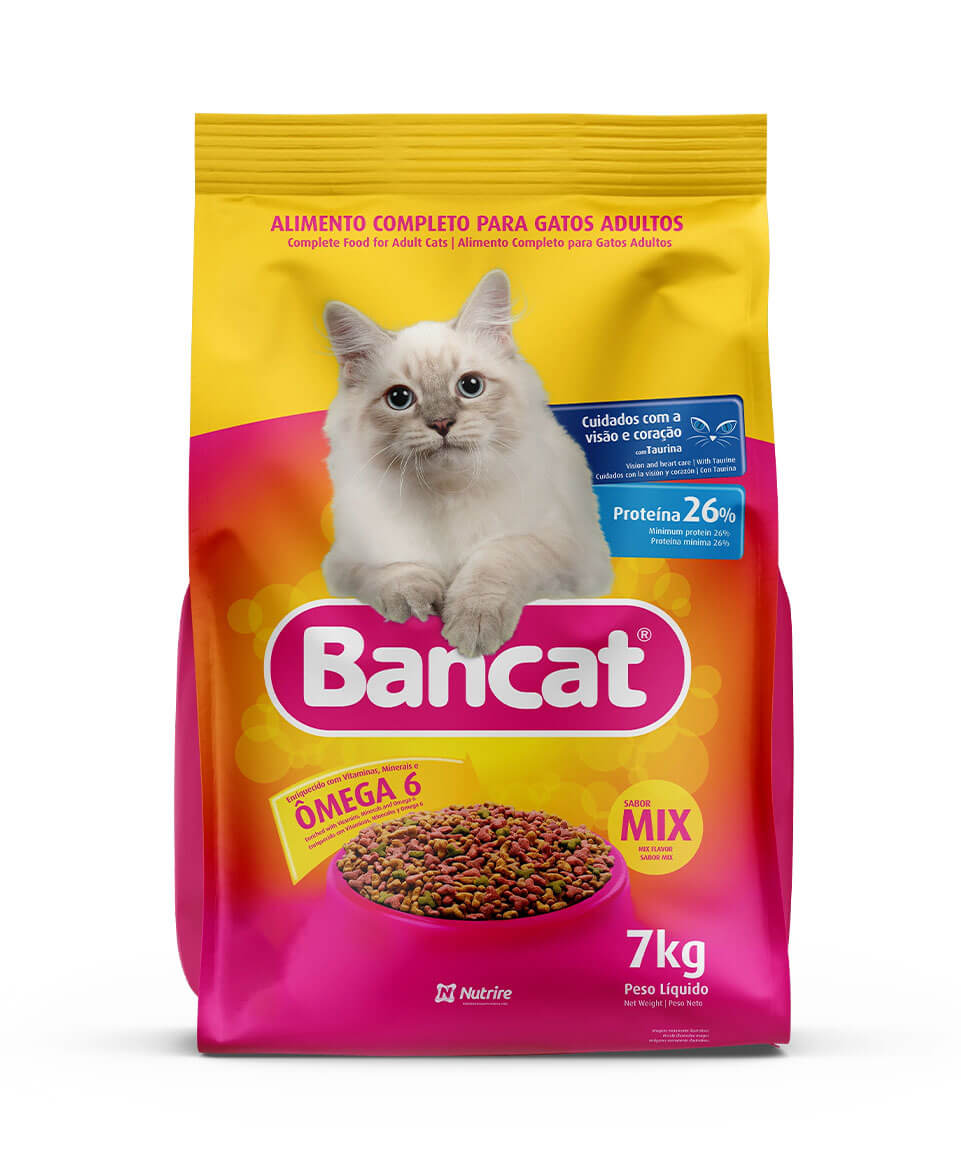 Gatos Adultos