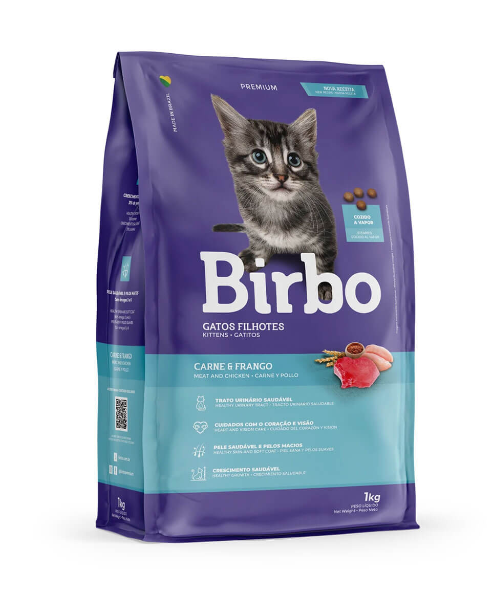 Gatos Cachorros