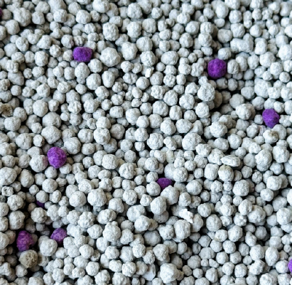 Purple Moon Lavanda